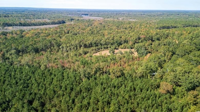 5760 Hugh Ryan Rd, Dalzell, SC 29040 - photo 7