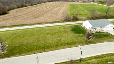 000 Leon Ln, Pittsfield, IL 62363 - photo 2