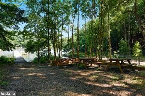 2704 Summerview Way unit 103, Annapolis, MD 21401 - photo 3