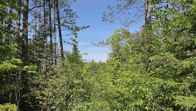 Field