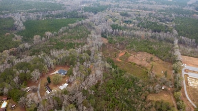 13145 Ga Highway 315, Cataula, GA 31804 - photo 6