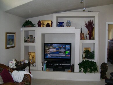 Entertainment Unit