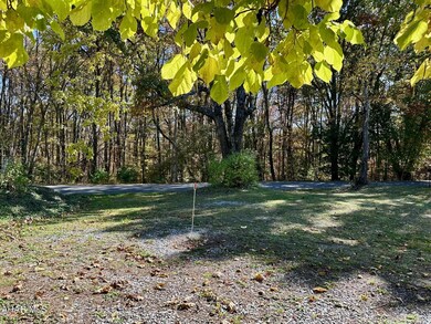 273 Ponderosa Rd, Schellsburg, PA 15559 - photo 4