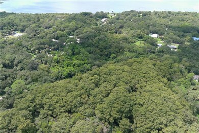 0 Taylor Rd N, Immokalee, FL 34142 - photo 5