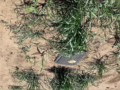 113 Iron Horse Ln, Denison, TX 75020 - photo 3