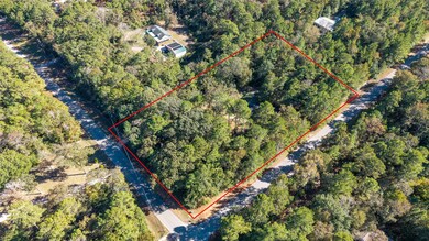 24795 Shady Oaks Blvd, Montgomery, TX 77316 - photo 3