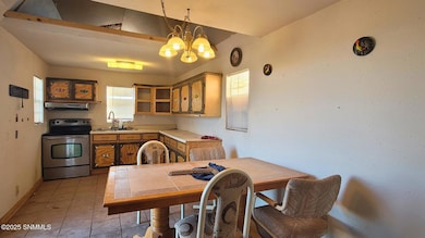 1530 SW El Bordo Rd, Deming, NM 88030 - photo 7