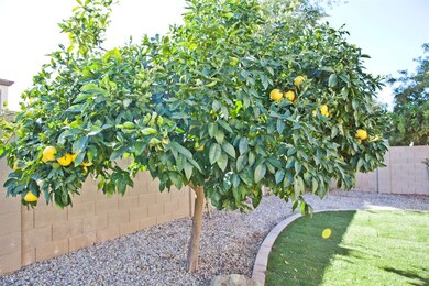 11245 E Stearn Ave, Mesa, AZ 85212 - photo 7