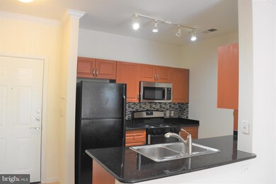 12954 Centre Park Cir unit 203, Herndon, VA 20171 - photo 3