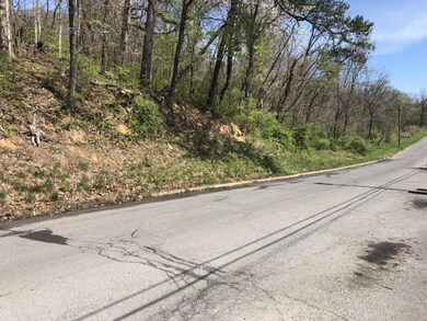 1000 E Market St, Johnson City, TN 37601 - photo 6