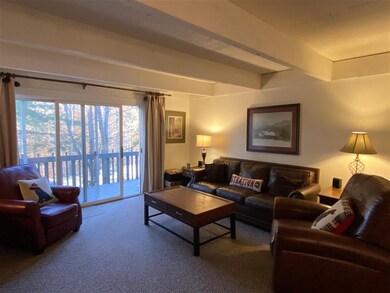 3 Stratton Rd W, Winhall, VT 05340 - photo 3