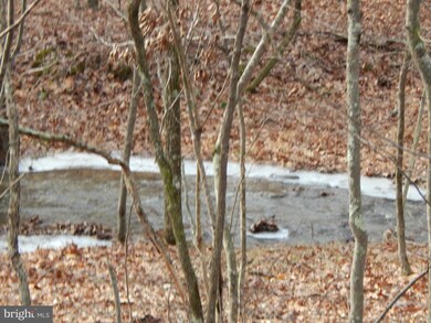 0 Circling Hawk Ln unit 1000168039, Berkeley Springs, WV 25411 - photo 2