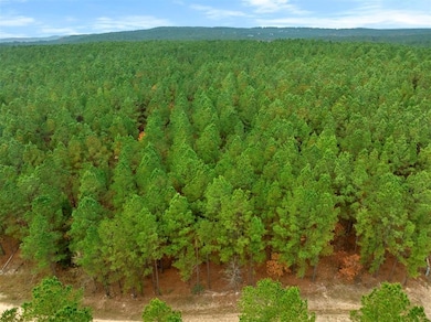 17 Hochacedar Trail, Broken Bow, OK 74728 - photo 2