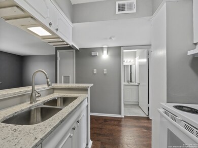 1045 Shook Ave unit 134, San Antonio, TX 78212 - photo 4