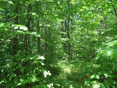 xxx Lily Lake Inn Rd, Webster, WI 54893 - photo 5