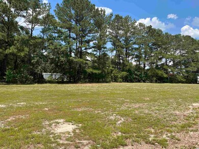 2501 Wise Rd, Conway, SC 29526 - photo 3