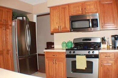 1316 Brendan Dr, Morris, IL 60450 - photo 5