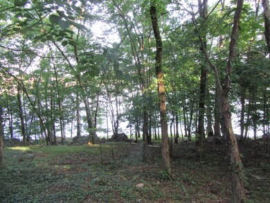 158 Dudala Way, Loudon, TN 37774 - photo 4