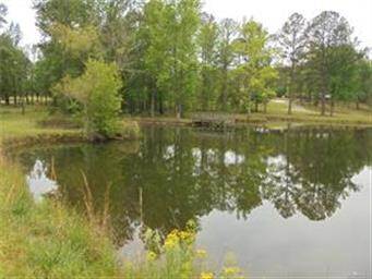 PAST THE POND