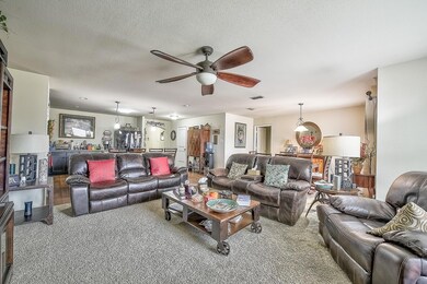 Carpeted living room with ceiling fan and a textur