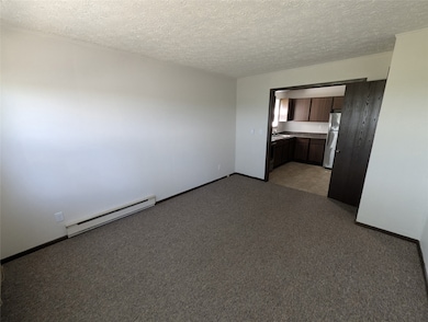 207 Stringtown Rd, Minier, IL 61759 - photo 7