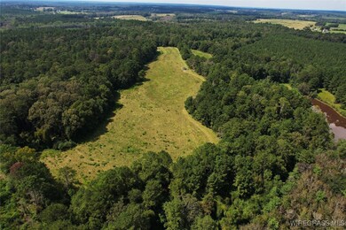 2217 Mcleod Rd, Goshen, AL 36035 - photo 4