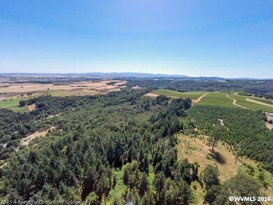 0 SW Vineyard Ln unit 692843, McMinnville, OR 97128 - photo 4