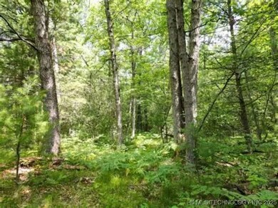 0 Ranch Rd unit 2541667, Gore, OK 74435 - photo 3