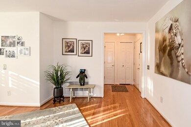 9262 Cardinal Forest Ln unit 101, Lorton, VA 22079 - photo 3