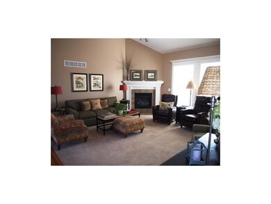 Gas fire place in Living room.