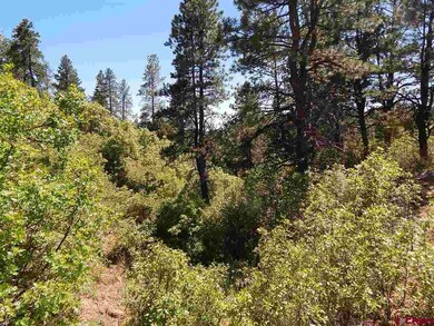 0 Tristan Trail unit 746328, Durango, CO 81301 - photo 4