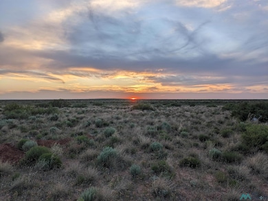 0 Llauds Rd, Roswell, NM 88201 - photo 2