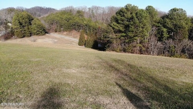 160 Pointe Summit Dr, Greenback, TN 37742 - photo 3