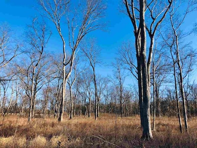 4888 Holly Bluff Rd unit 1, Rolling Fork, MS 39159 - photo 5