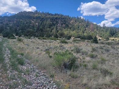 1287 Bear Creek Cir, South Fork, CO 81154 - photo 4