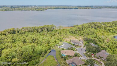 3550 Justin Dr, Palm Harbor, FL 34685 - photo 3