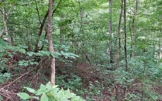 LT813 Lonesdale Ln, Oakman, GA 30732 - photo 4