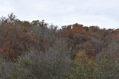 2000 Leatherman Gap Rd, Franklin, NC 28734 - photo 4