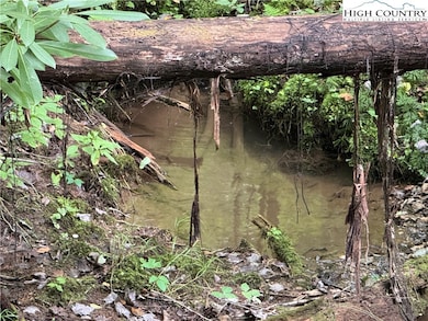 TBD Bryan Davis Rd, Creston, NC 28615 - photo 5