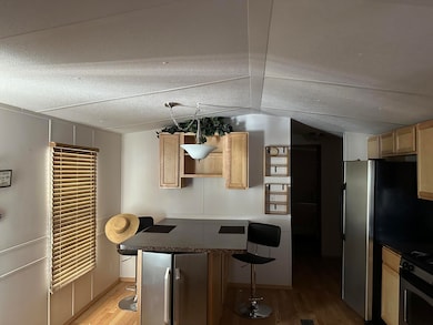 117 Trinity Ave, Truth Or Consequences, NM 87901 - photo 5