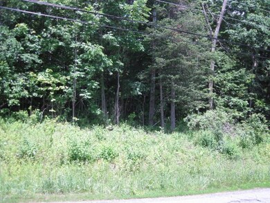 4 Vermont Ave unit 4, Hardwick, VT 05843 - photo 2