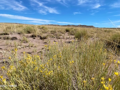 0 N Porter Rd unit 238403, Joseph City, AZ 86032 - photo 3