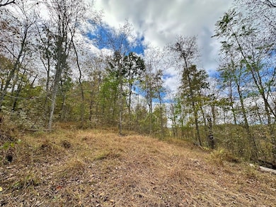 50 Sweet Grape Run Rd, Walton, WV 25286 - photo 7