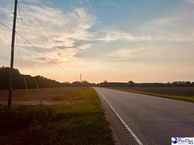0 S Carolina 9, Nichols, SC 29581 - photo 5