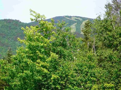 36 Lost Pass Rd unit Lot 22, Waterville Valley, NH 03215 - photo 5