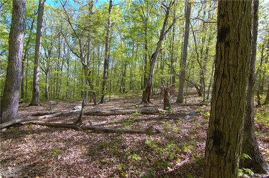 2834 Sierra Trace Rd, Denton, NC 27239 - photo 7