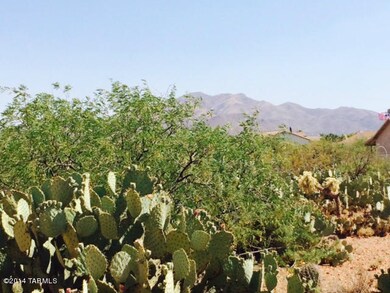 Lush desert landscaping