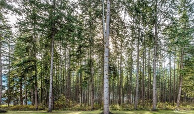 11404 Harris Rd SE, Yelm, WA 98597 - photo 7