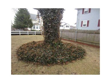Yard/Garden.