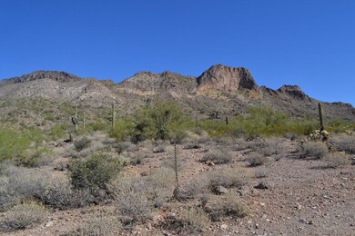 Tonto National Forest